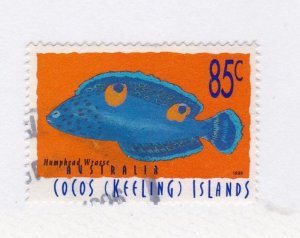 Cocos Islands            310        used