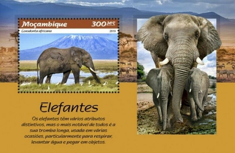 Mozambique - 2019 Elephants - Stamp Souvenir Sheet - MOZ190106b