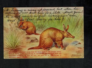 1913 Bechuanaland Lobatsi  Aardvark Postcard Cover to Austria