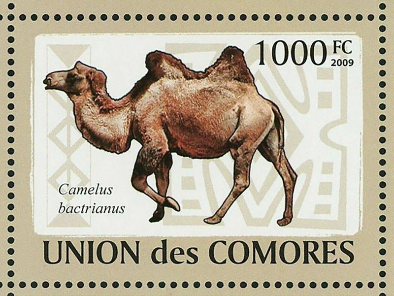Camels Stamp Camelus Dromedarius Camelus Bactrianus S/S MNH #2128-2133 