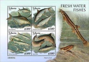 LIBERIA- 2023 - Freshwater Fish - Perf 4v Sheet - Mint Never Hinged