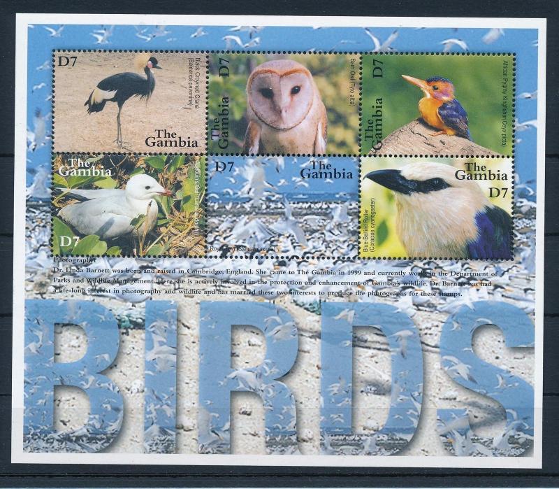 [31886] Gambia 2001 Birds Vögel Oiseaux Ucelli  Photography MNH Sheet