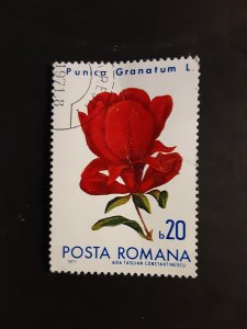 +Romania #2249        CTO