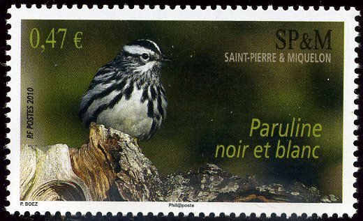 Scott #905 MNH