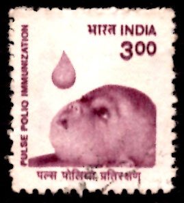 India 300p Pulse Polio Immunization, Medical 2000 SG.1963b, Sc.1712 Used (#02)