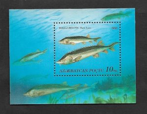 SD)1993 AZERBAIJAN  FISH, STURGEON 10K, SOUVENIR SHEET, MNH