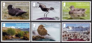 SOUTH GEORGIA 2019 BIRDS HABITATS OISEAUX VOGEL UCCELLO AVES