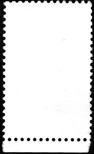 # 2330 USED MOCKING BIRD