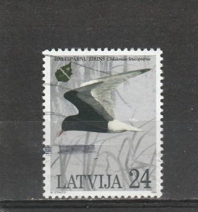 Latvia  Scott#  398  Used  (1995 White-Winged Tern)