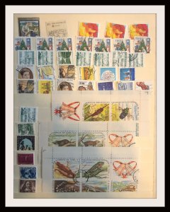 Medium Size Foreign Accumulation