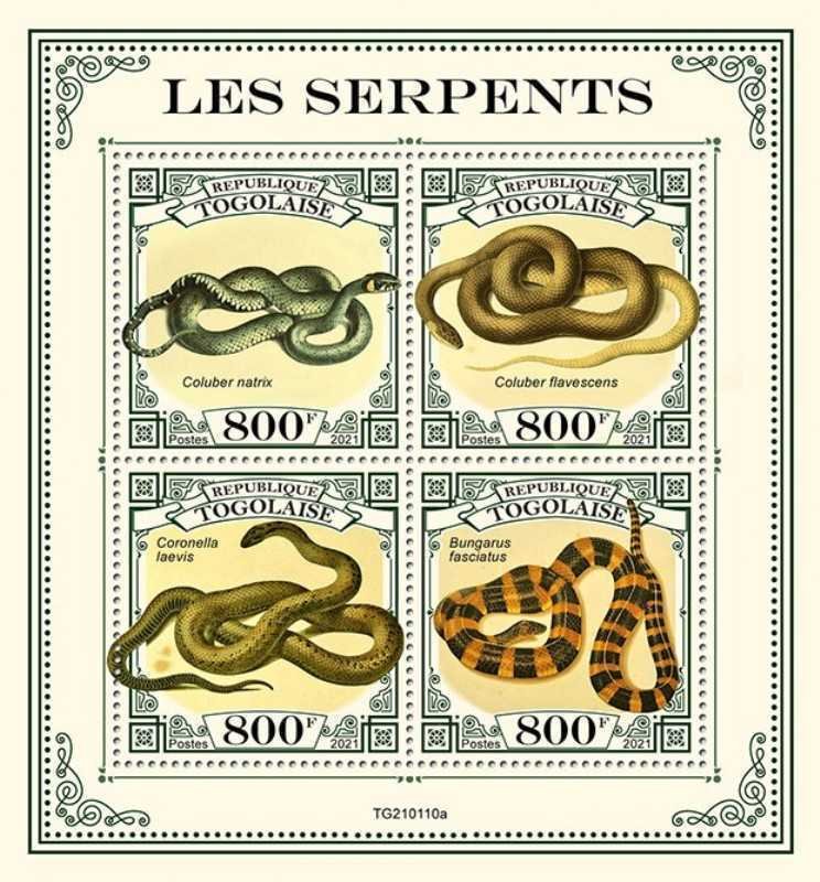 Togo - 2021 Snakes, Coluber Constrictor, Rat Snake - 4 Stamp Sheet - TG210110a