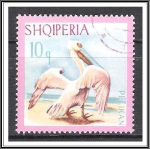 Albania #1012 Pelicans Birds CTOH