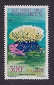 Comoro Islands   #C6  MNH  1962  Coral  sea anemone   500fr