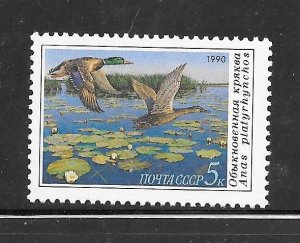 Russia #5906 MNH Single