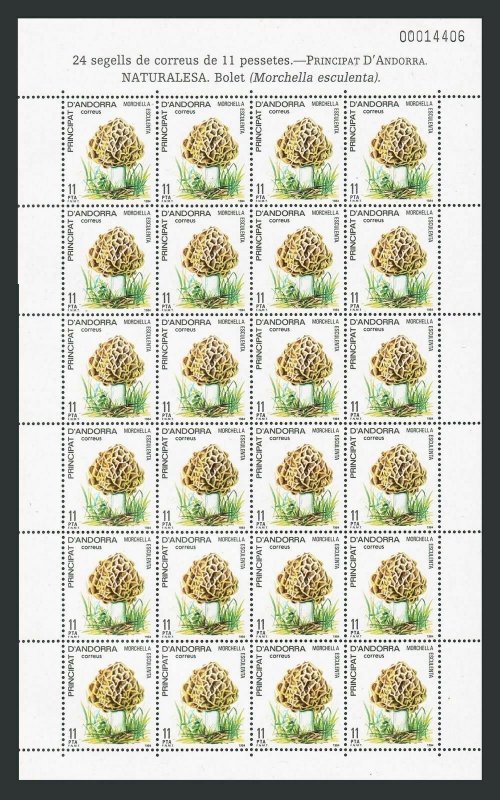 Andorra Sp 165 sheet/24,MNH.Michel 184. Mushroom 1984.Morchella esculenta.