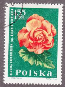 Poland 1287 Begonia 1964