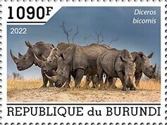 BURUNDI - 2022 - Rhinos - Perf Single Stamp - Mint Never Hinged