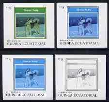 Equatorial Guinea 1977 Dogs EK8 (Siberian Husky) set of 4...