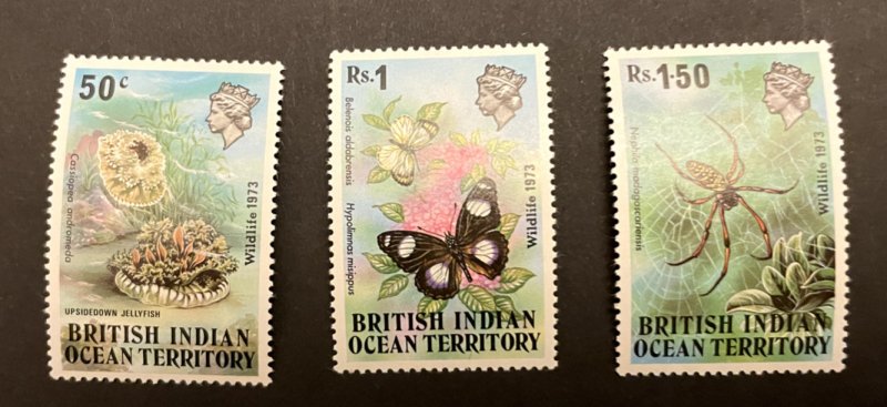 British Indian Ocean Territory:  1973 Wildlife (1st Series)   MNH set