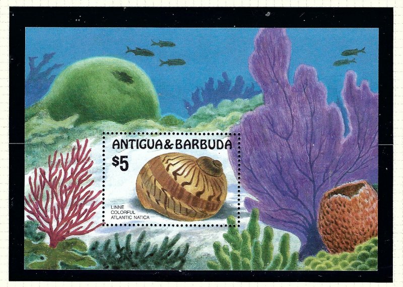 Antigua 947 MNH 1986 Seashells S/S       (KA)