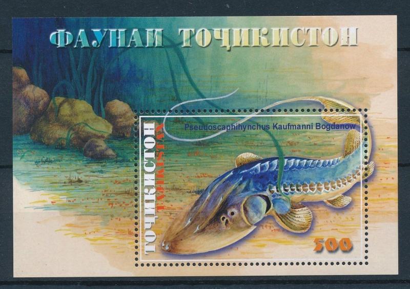 [26504] Tajikistan 2000 Marine Life Fish MNH  Souvenir Sheet