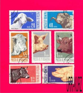 ROMANIA 1962 Nature Fauna Farm Animals Cattle Cow Bull Pig Sheep 7v Sc1527-1533