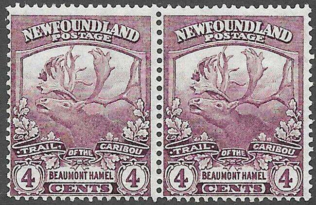 Newfoundland Scott Number 118 F NH Pair