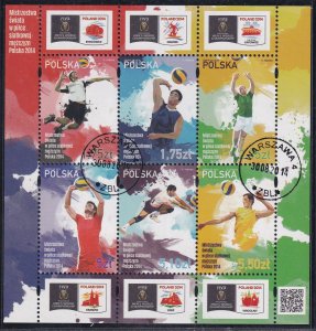 Poland 2014 Sc 4133 Mens World Volleyball Championships Stamp MS6 CTO NH