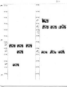 Stock page of Official stamps with multiples O127 to O140