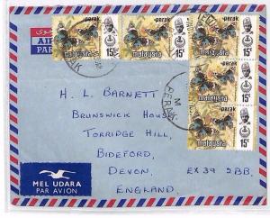 BP141 1977 MALAYSIA *Teluk Anson* Commercial Airmail Cover Devon BUTTERFLIES