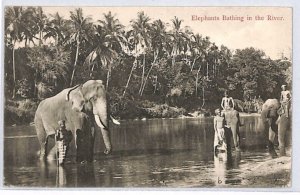 CEYLON KEVII Postcard *ELEPHANTS BATHING* 1902 Kandy CDS Bucks {samwells}PJ159