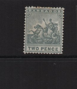 Barbados 1909 SG166 MCA watermark Twopence mounted mint