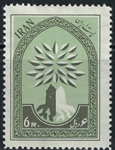 Iran 1155 MH 1960 issue (an4453)