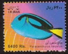 Iran MNH Scott #2998 Fish large size 6400 Rial Free Shipping