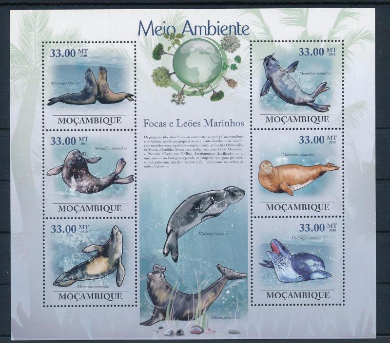 [31498] Mozambique 2010 Marine Life Seals MNH Sheet