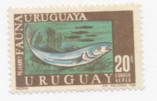 Uruguay 1968 Scott C336 used - 20p, Marine Fauna, Fish