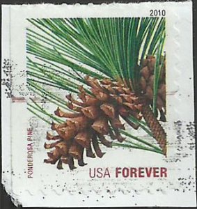 # 4482 USED PONDEROSA PINE