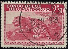 BELGIAN CONGO   #200 USED (6)
