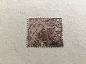 Western Australia Swan 1871 used stamp  A11643