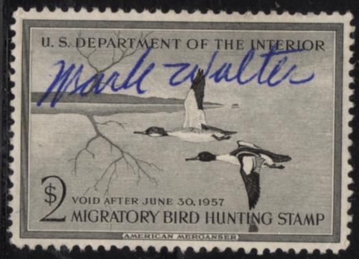 US Stamp #RW23 - SUPER Pair of American Mergansers in Flight