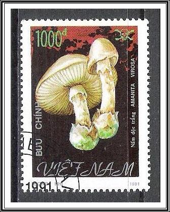 Vietnam North #2211 Mushrooms CTO