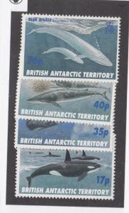 BRITISH ANTARCTIC TERRITORY # 244-247 VF-MNH WHALES