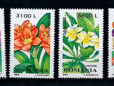 [79812] Romania 2000 Flora Plants Flowers  MNH