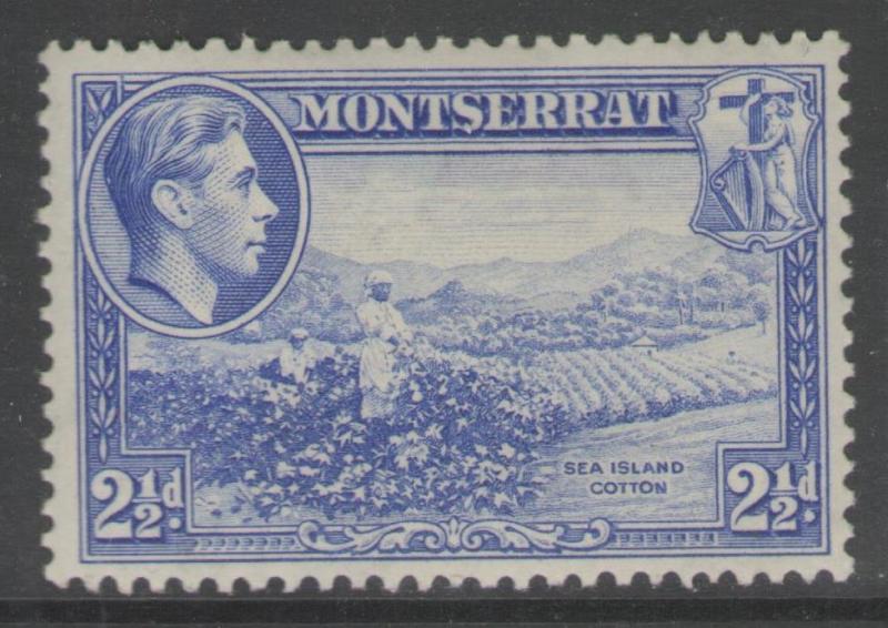 MONTSERRAT SG105 1938 2½d ULTRAMARINE p13 MTD MINT