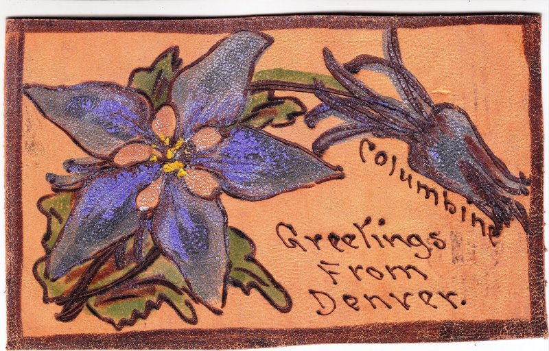 United States,1907,Leather Postcard