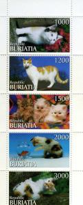 Buriatia 1997 DOMESTIC CATS Strip (5) values Perforated Mint (NH)