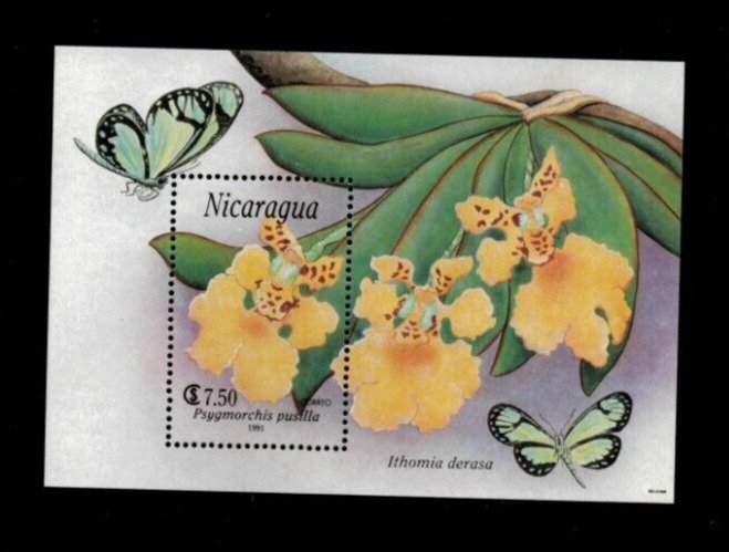 Nicaragua - 1991 - Flower - Souvenir Stamp Sheet - Scott #1870  MNH