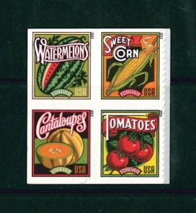 US Scott # 5004 - 5007 / Summer Harvest Block of 4 / # 5007a MNH