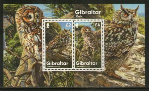 Gibraltar 2020 Birds Owls Wildlife Animals M/s MNH # 5799