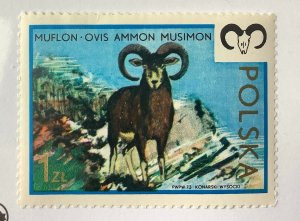 Poland 1973  Scott 1972 MH - 1Zł,  Native games, Mouflon